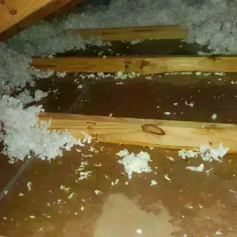 Attic Water Damage in Longmeadow, MA